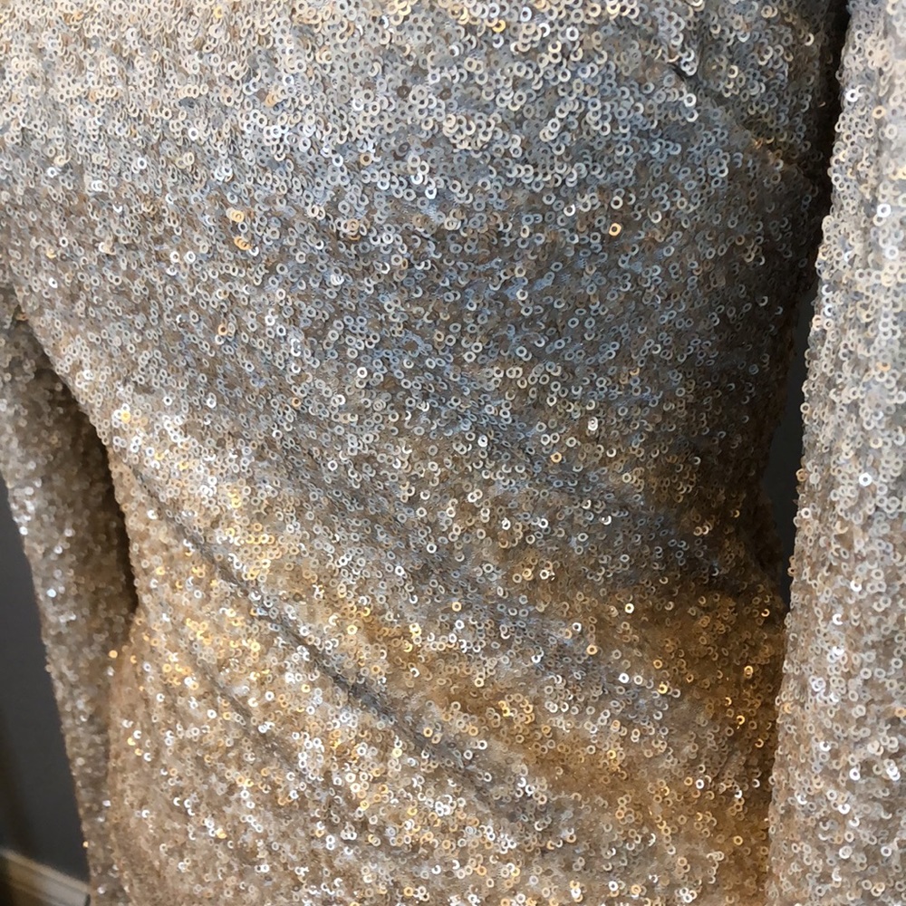 Badgley Mischka Alexis Ombré Sequin Dress - Picture 5 of 5